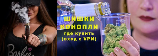 альфа пвп Медногорск