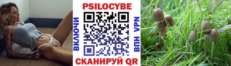 Псилоцибиновые грибы Magic Shrooms  купить наркоту  Звенигород 