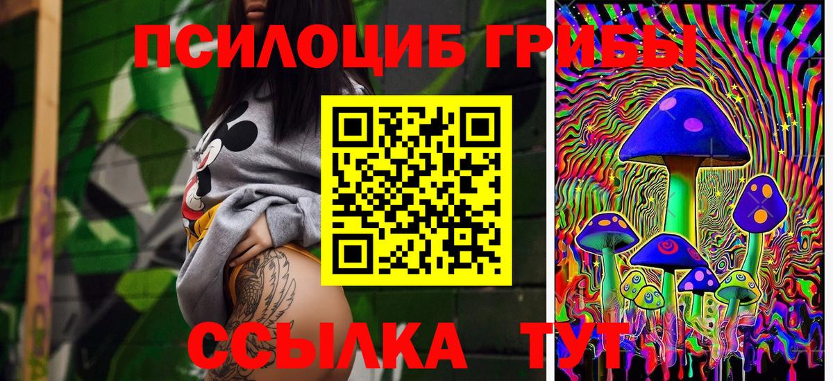 Псилоцибиновые грибы MAGIC MUSHROOMS Звенигород