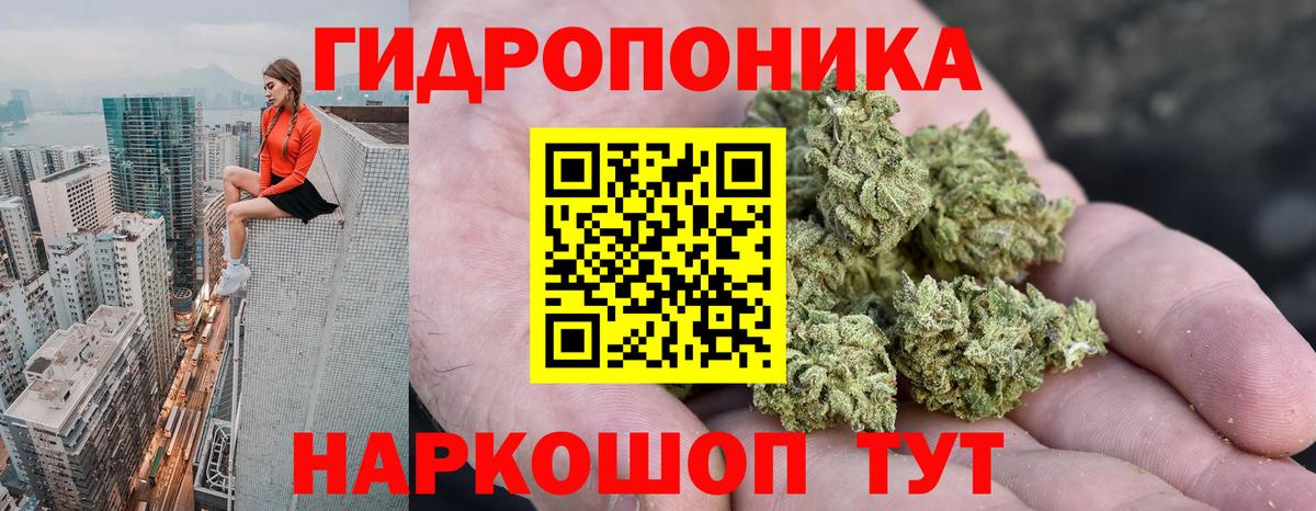  COCAIN Звенигород