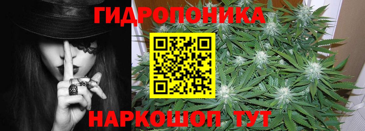 Шишки марихуана сатива Звенигород